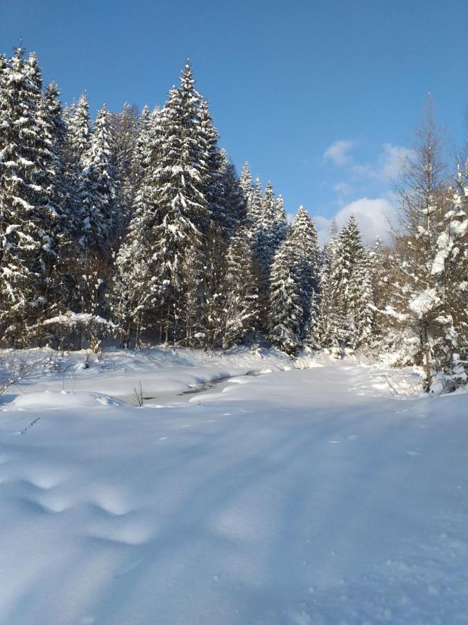 Domek Pod Groniem Mizerna Bagian luar foto