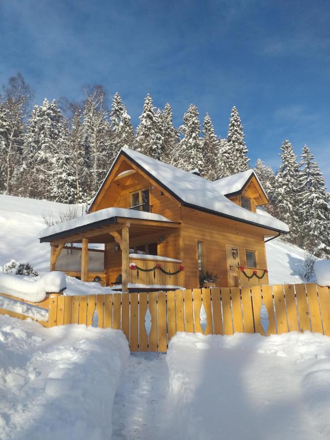Domek Pod Groniem Mizerna Bagian luar foto
