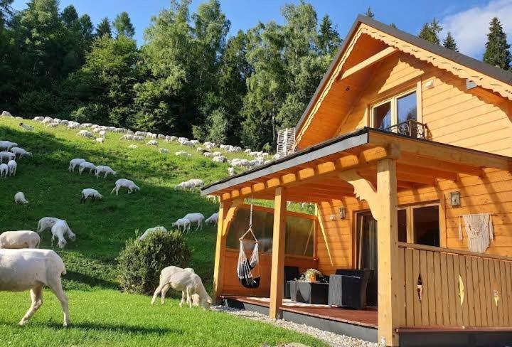 Domek Pod Groniem Mizerna Bagian luar foto